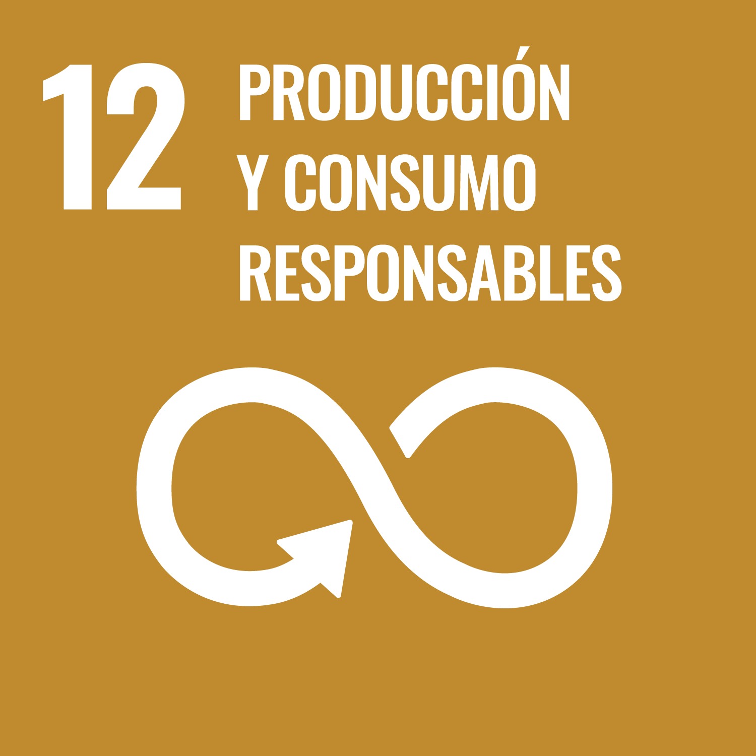 ODS 12 - Producción y consumo responsable