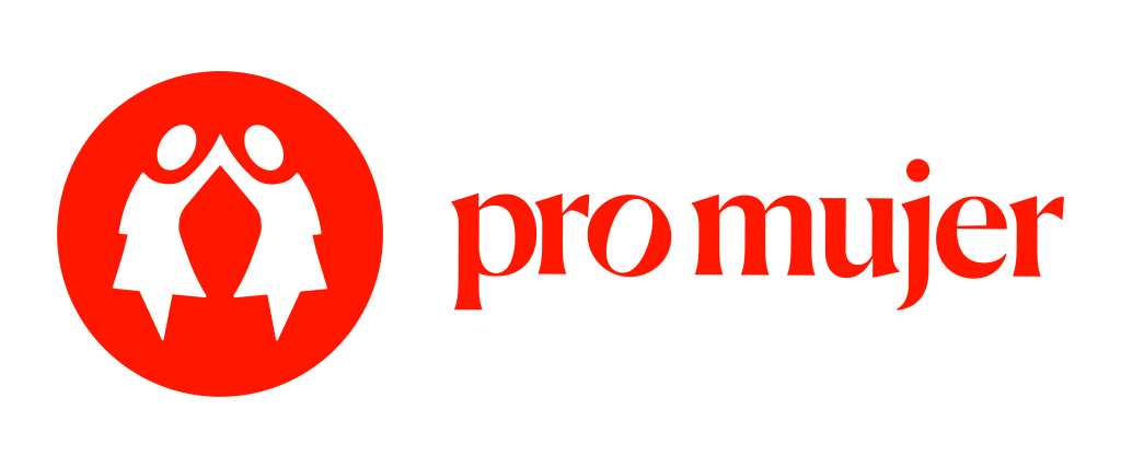 PRO MUJER LOGO vFinal_color positivo horizontal (1)